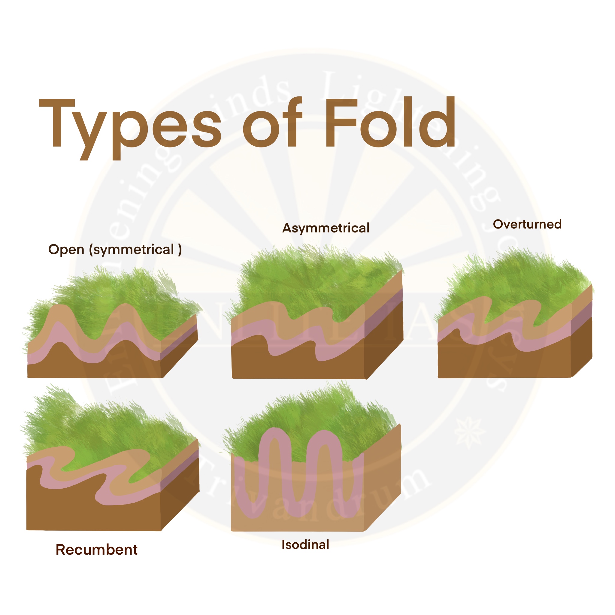 Geomorphology: Folds | Enlite Cafe