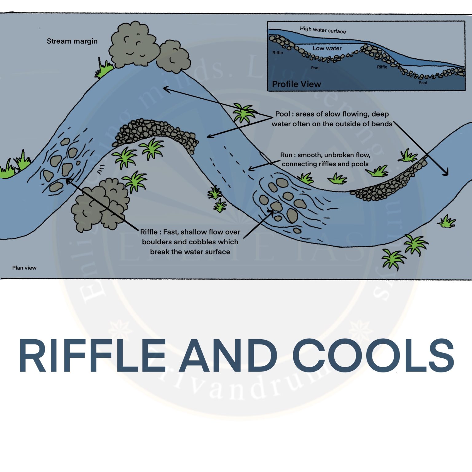 Fluvial Landforms: Depositional Landforms | Enlite Cafe