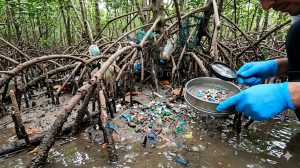 Microplastics Pollution