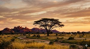 Zimbabwe