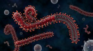 Ebola