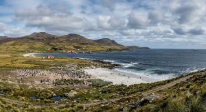 Falkland Islands