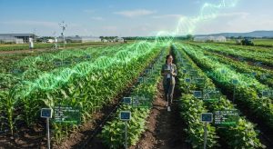 GM Crops