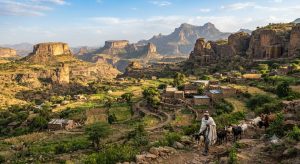 Tigray